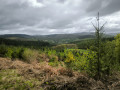 Vue sur le village de Corancy