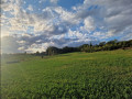 Vue sur les coteaux de Pontoise (Lacroix Falgarde)