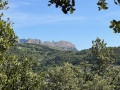 Vue sur les Dentelles de Montmirail