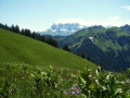 Vue sur Les Dents Blanches