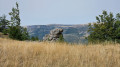 Vue sur les falaises du Causse Méjean