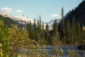 Vue sur les glaciers.