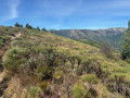 Vue sur les Monts de Loz&egrave;re bis