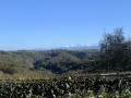 Vue sur les Pyrénées