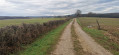 vue sur les vosges