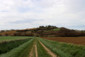 Vue sur Montgaillard-Lauragais