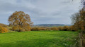 Circuit des chemins retrouvés depuis Moutiers-Saint-Jean