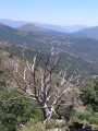 Vue sur Pioggiola