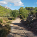 Vue sur Sainte-Victoire et l'oliveraie depuis la piste bétonnée