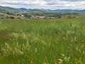 vue sur Salles en Beaujolais