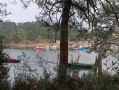 Vue sur Séné - Port Anna