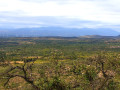 View to the west