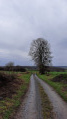 Vue vers le Mont Hédin