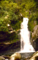 Wainui Falls