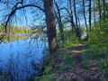 Von Carpin zum Grünower See