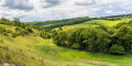 Nettlebed Countryside Walk
