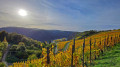 Von St. Goarshausen zur Loreley