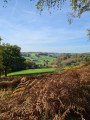 Tolles Panorama - Am Paasbach