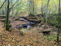 Dans les bois de Peyrignac