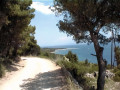 Boucle Bol - Vidova Gora - Murvica - Bol