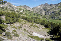 Zone de rochers et d'éboulis